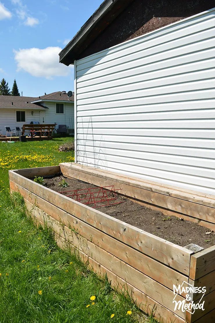 raised garden beside shed