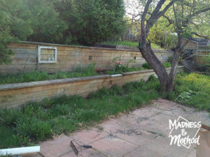 raised garden retaining wall