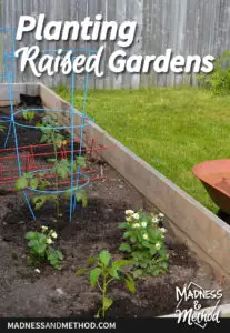 planting raised gardens