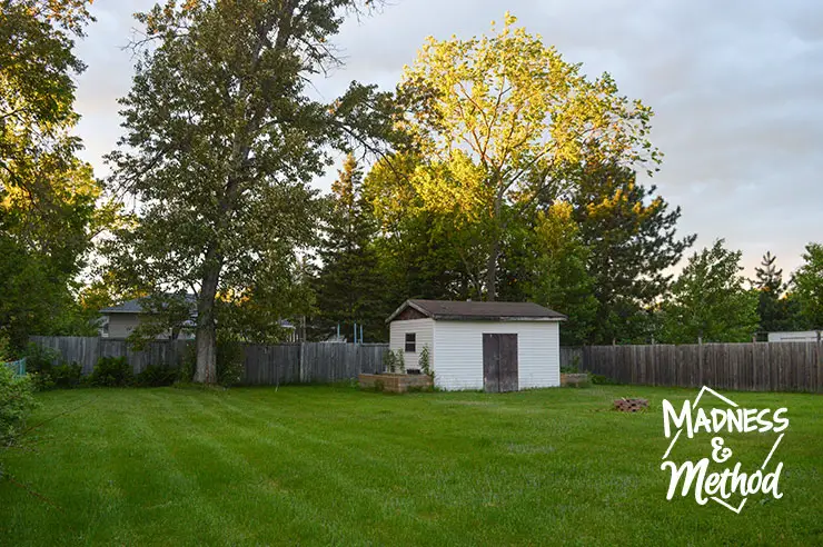 backyard with shed