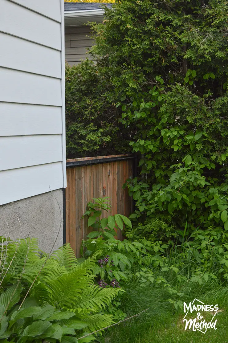 wood gate with trees