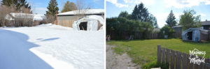 snow in yard