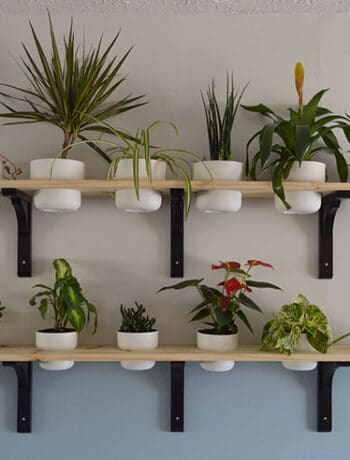 plant shelves diy