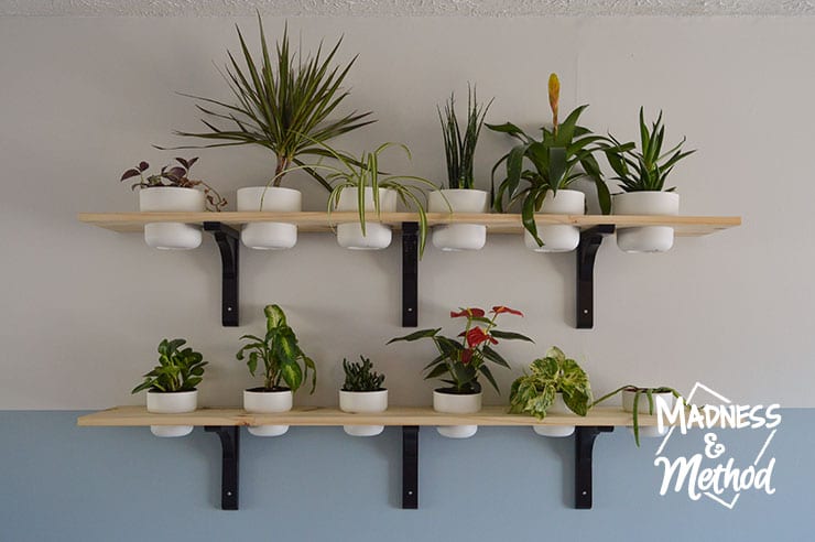 plant shelves diy