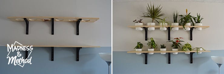 shelves with and without plants