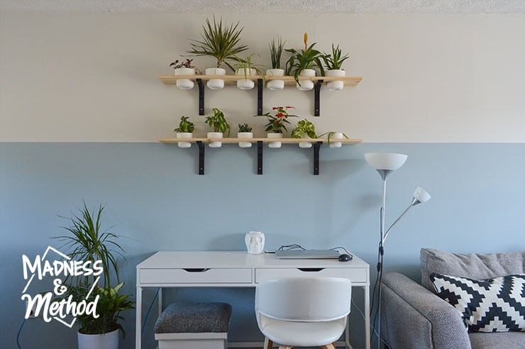 plant shelves above desk