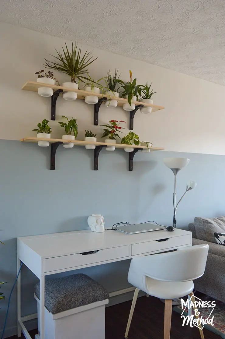desk with plants