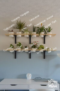 plant types