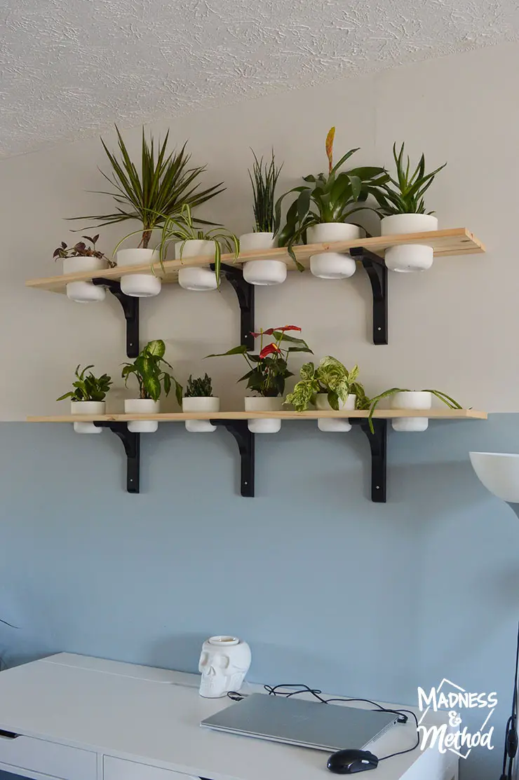 plant shelves diy above desk
