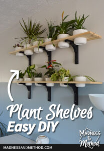 plant shelf diy