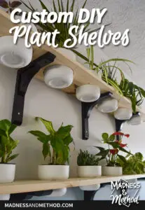 diy plant shelves