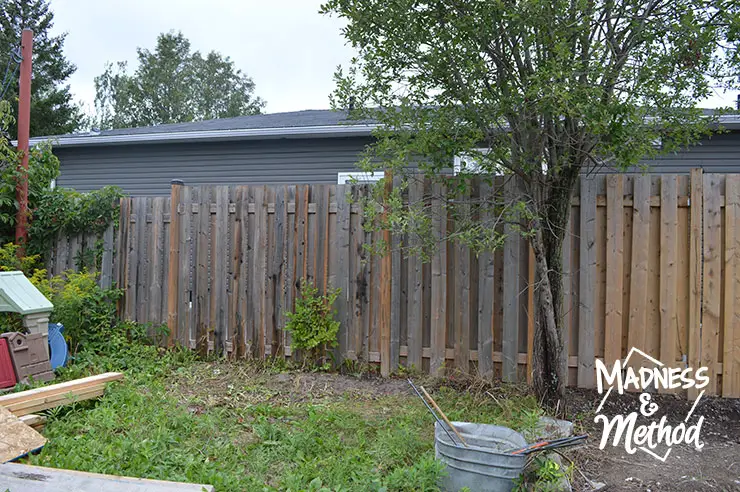 fenced yard