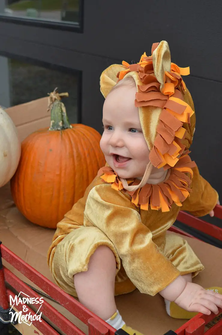 baby lion costume