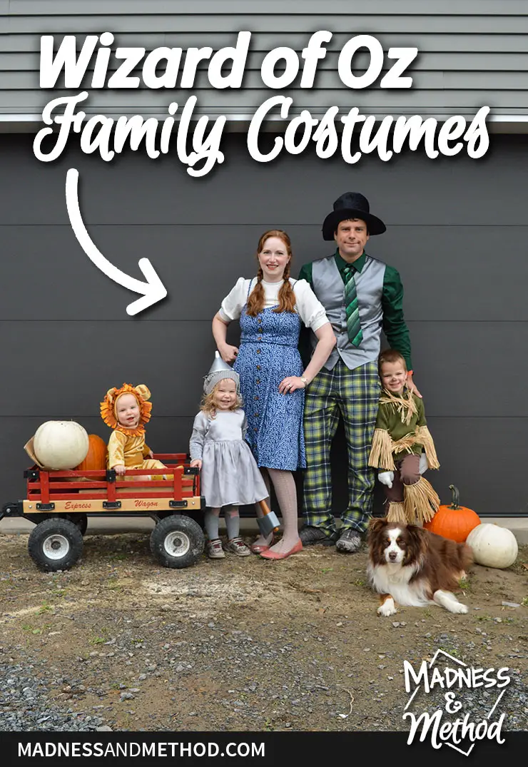 wizard of oz family costumes