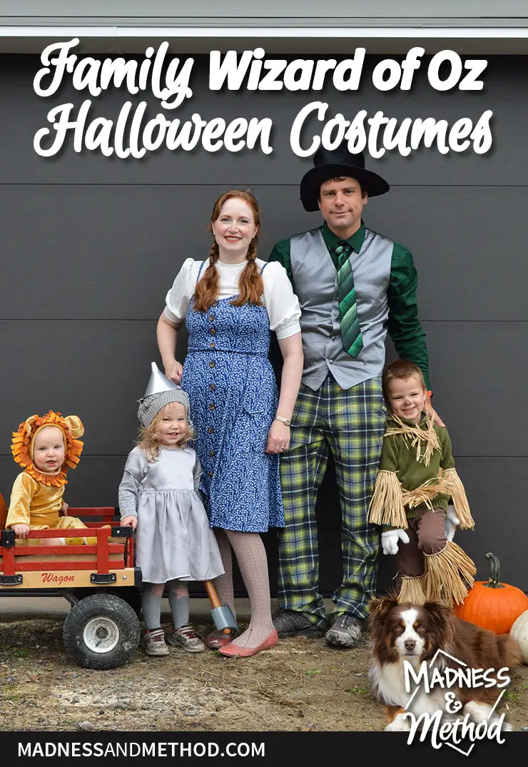 wizard of oz family costumes