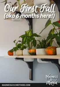6 month home tour