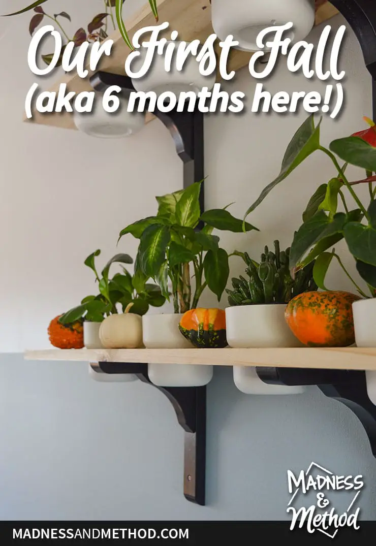 6 month home tour