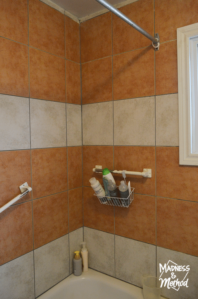 paintingshowertiles21 Madness & Method