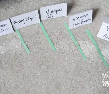 closeup of carpet with pieces of tape and papers written with cleaning solutions
