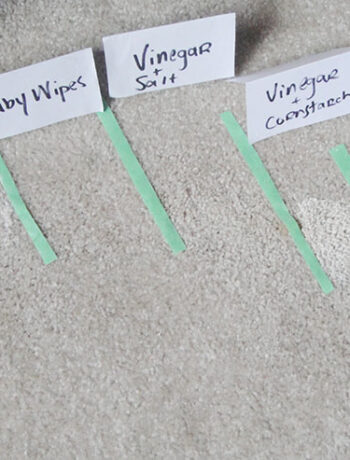 closeup of carpet with pieces of tape and papers written with cleaning solutions