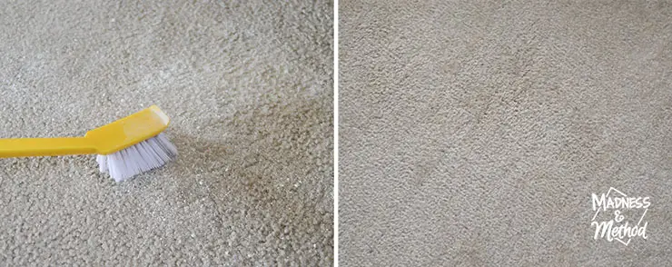 yellow scrub brush cleaning carpet stains