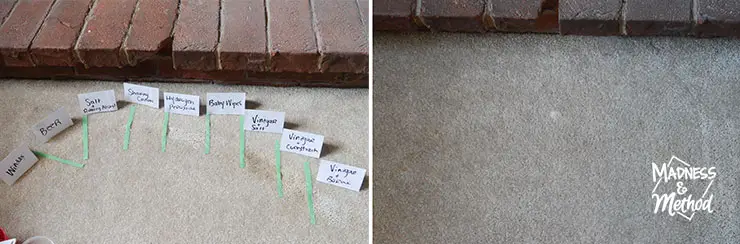 cleaning solutions during and after on carpet