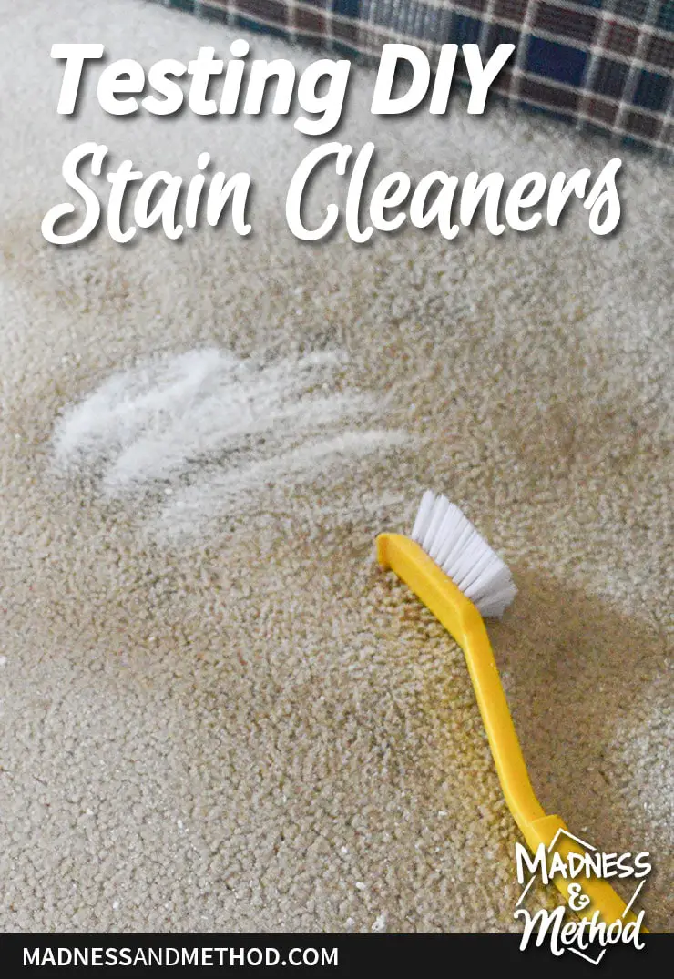 yellow scrub brush and white powder on beige carpet with testing diy stain cleaners text overlay