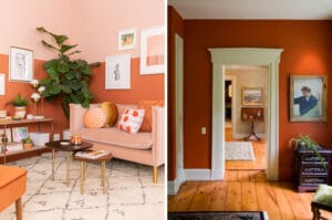 orange walls