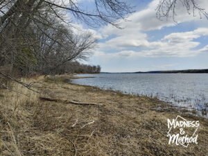 lakefront view