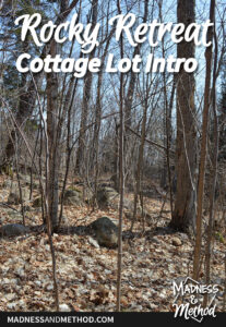 rocky retreat cottage lot intro