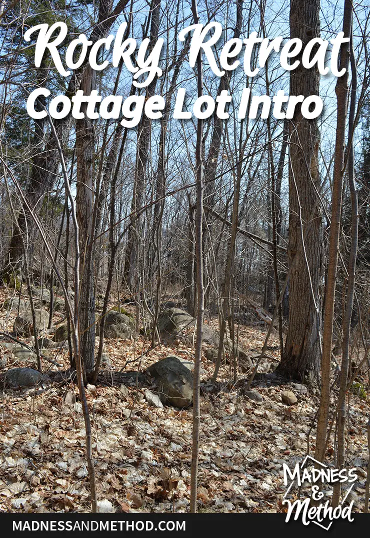 rocky retreat cottage lot intro