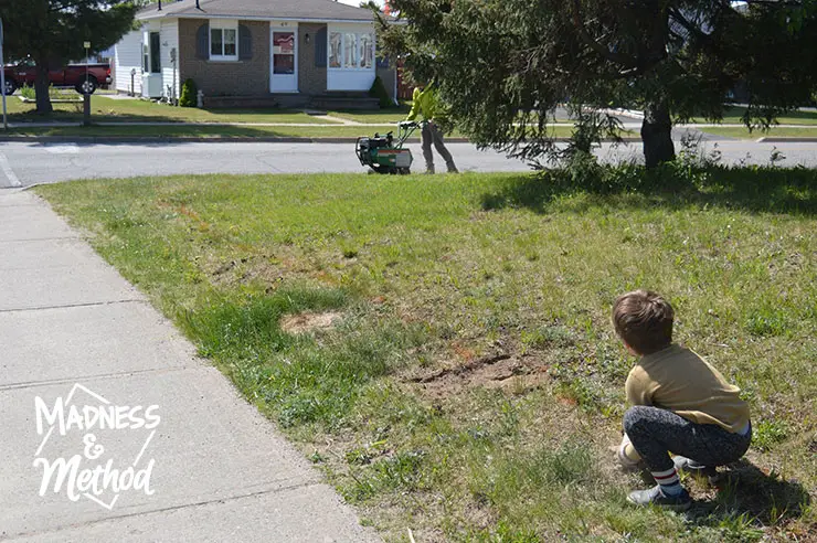 sidewalk grass before