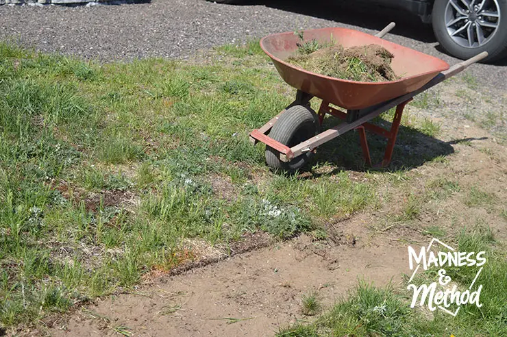 removing sod