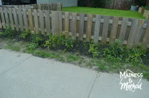 fence garden with weeds