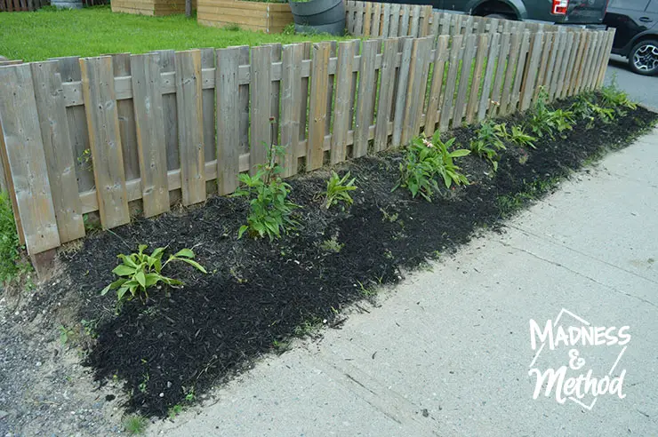 fence garden with mulch