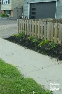 landscaping along sidewalk and fence