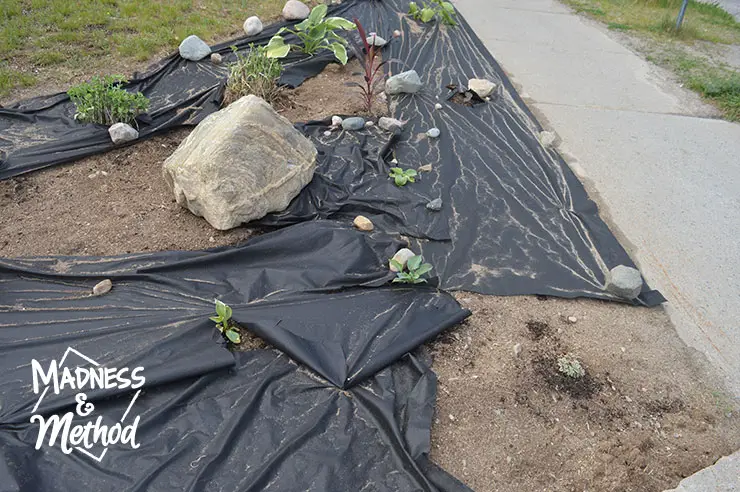 landscape fabric below mulch