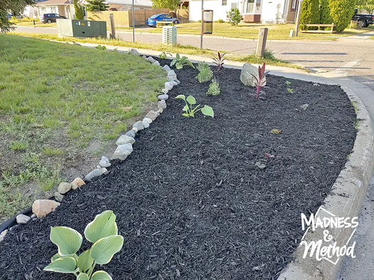 black mulch landscape garden