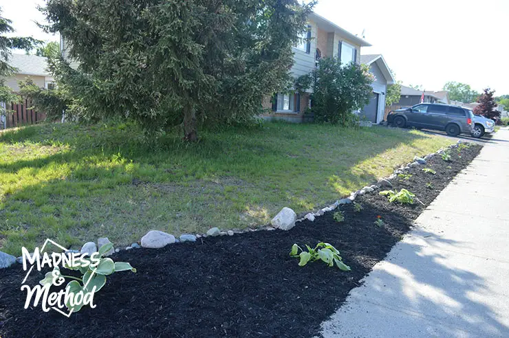 landscape along sidewalk