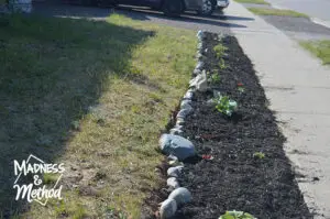 uneven rocks along sidewalk