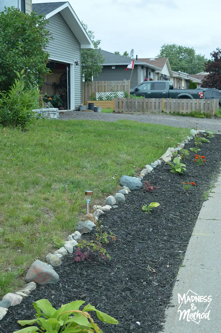 landscape garden along sidewalk