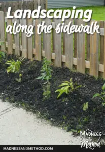 landscaping along sidewalk and fence graphic
