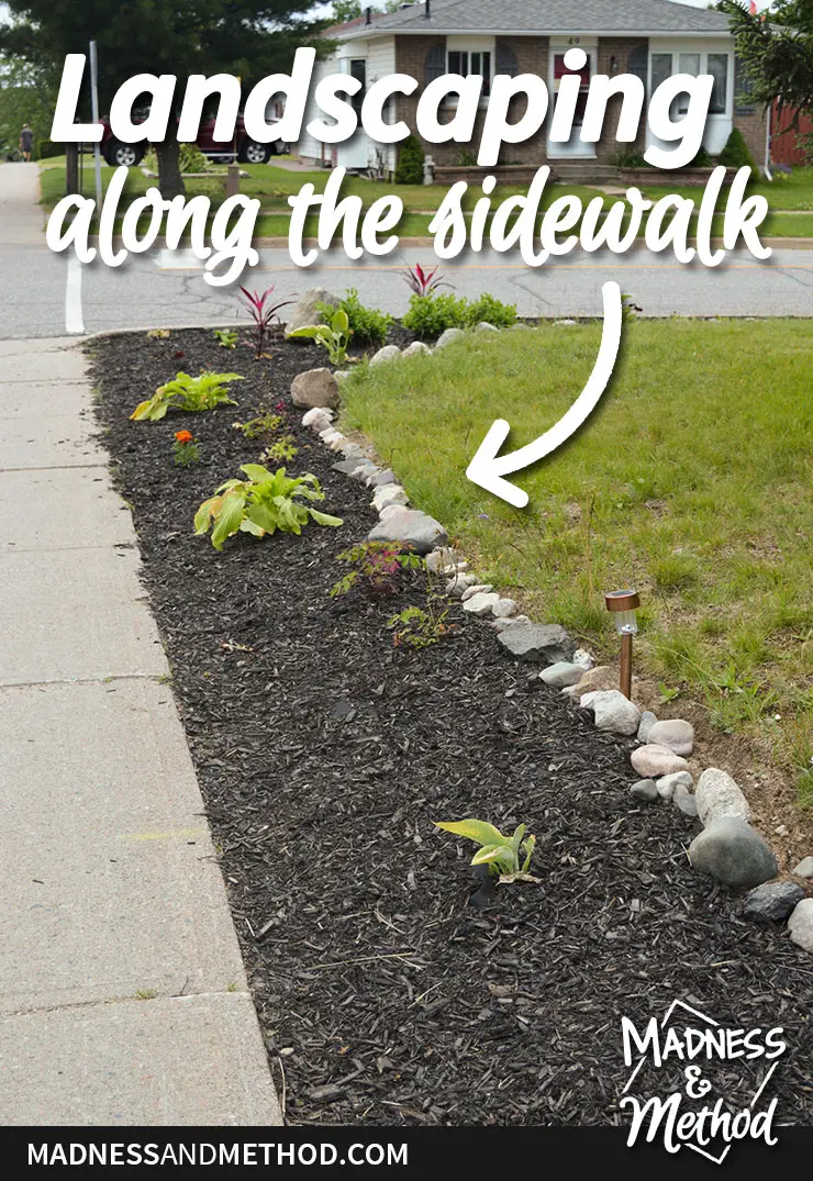 landscaping along the sidewalk