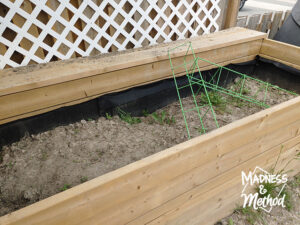 garden bed before topsoil