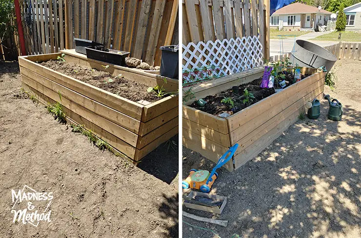 prepping raised gardens for veggies