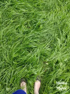 tall grass with feet