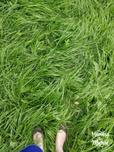 tall grass with feet