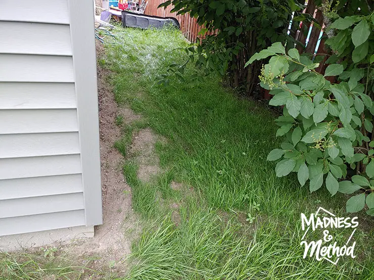 long grass behind garage