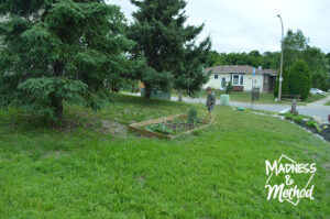 grass and garden in sideyard