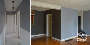 slate blue accent walls